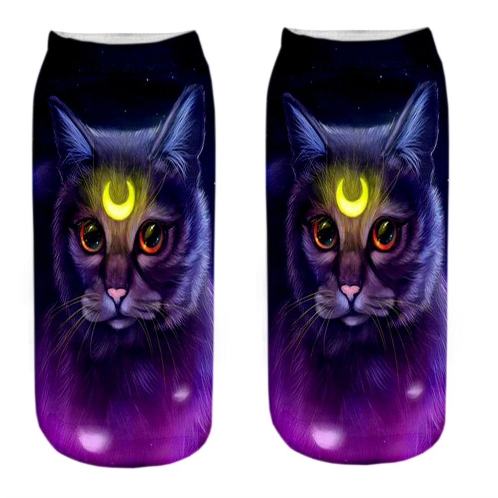 Cat Picture on Socks