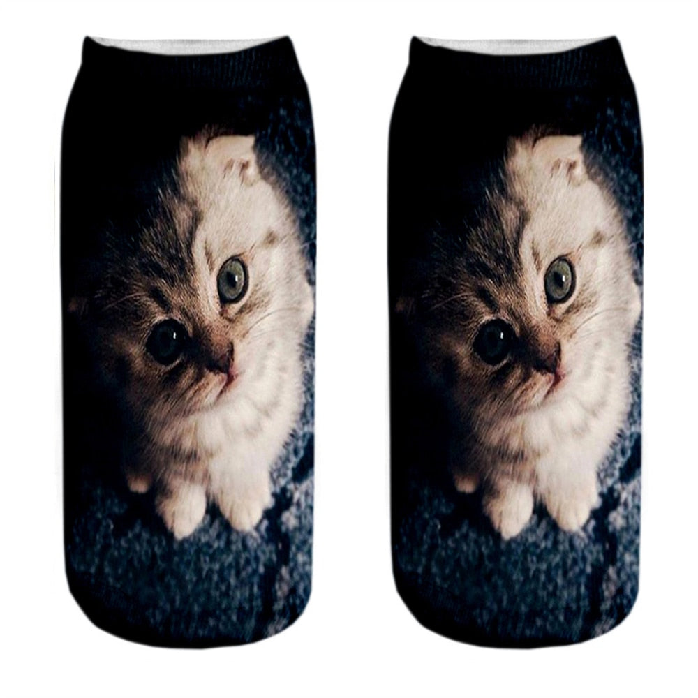 Cat Picture on Socks