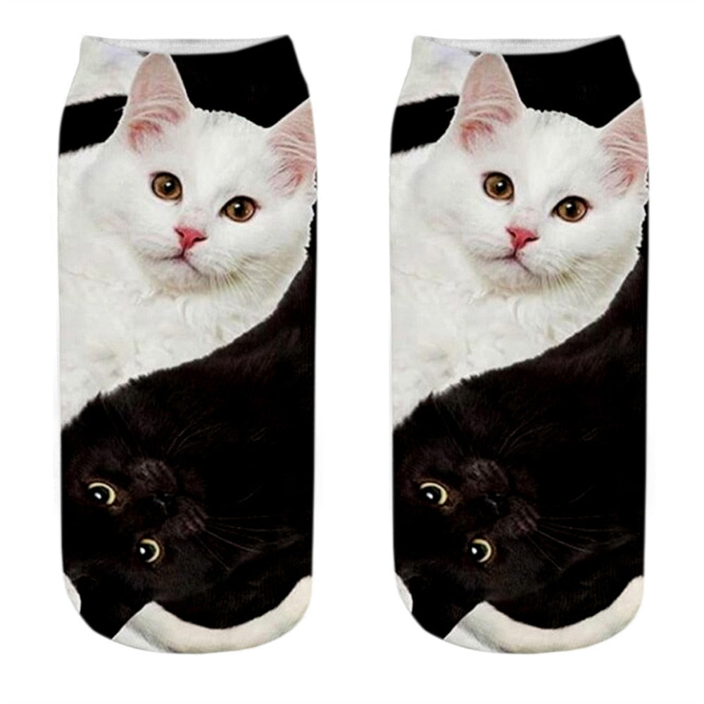 Cat Picture on Socks
