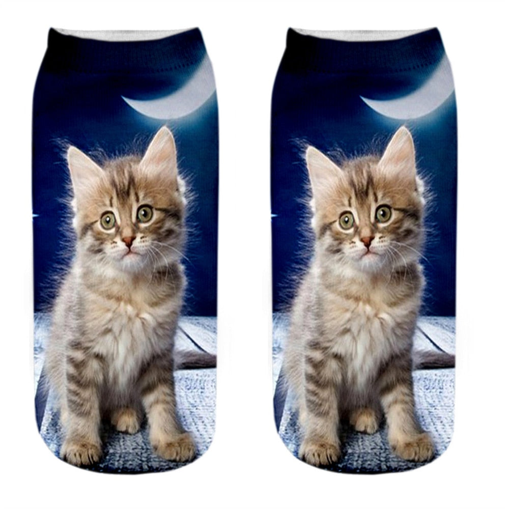 Cat Picture on Socks