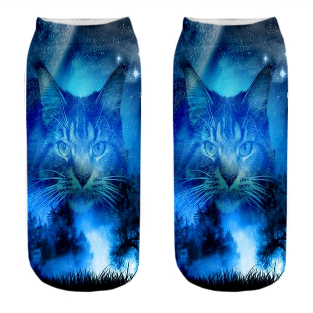 Cat Picture on Socks