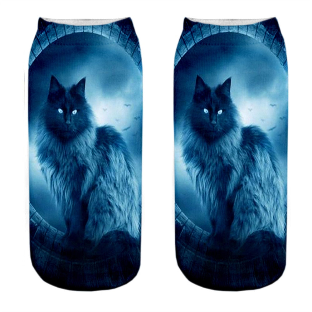 Cat Picture on Socks