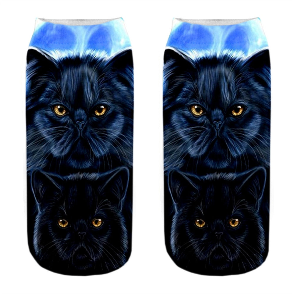 Cat Picture on Socks