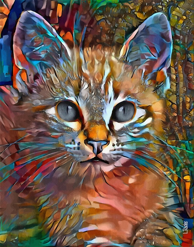Cat Pictures Wall Art