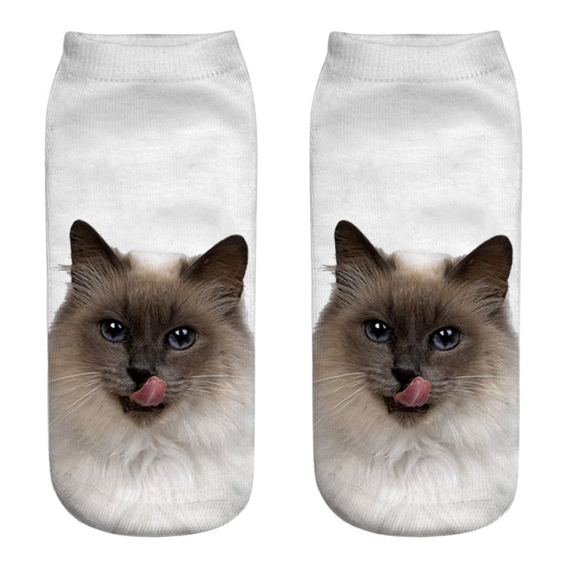 cat & jack socks