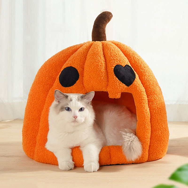 Cat Pumpkin Bed