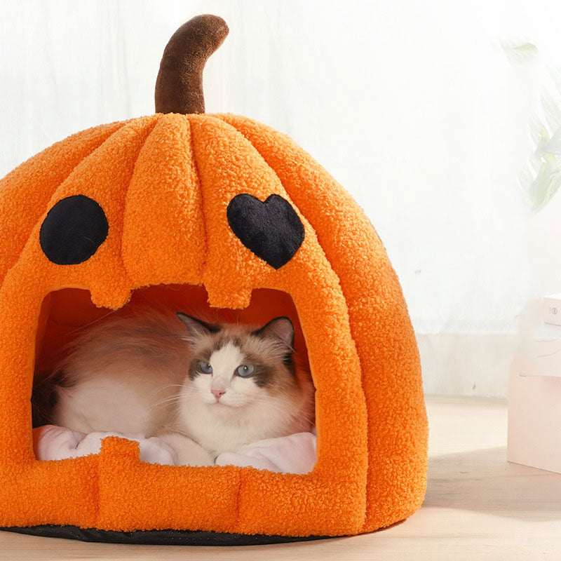 Cat Pumpkin Bed