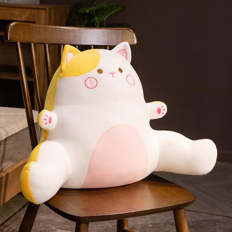 Cat Reading Pillow