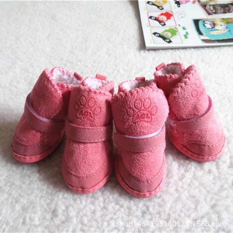 Cat Shoes for Winter