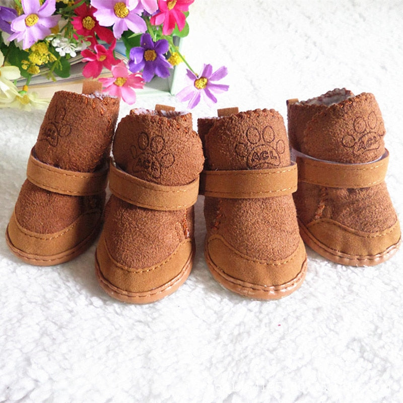 Cat Shoes for Winter