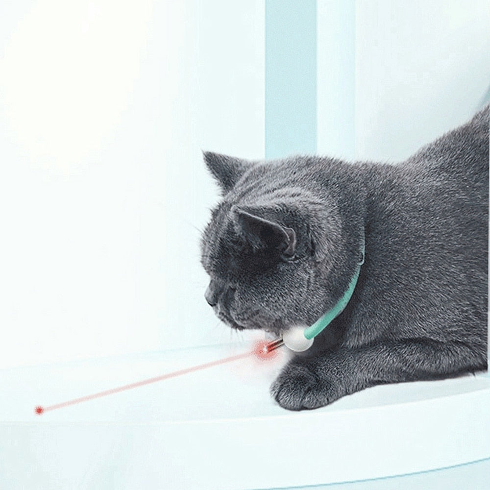 Cat Training Collars