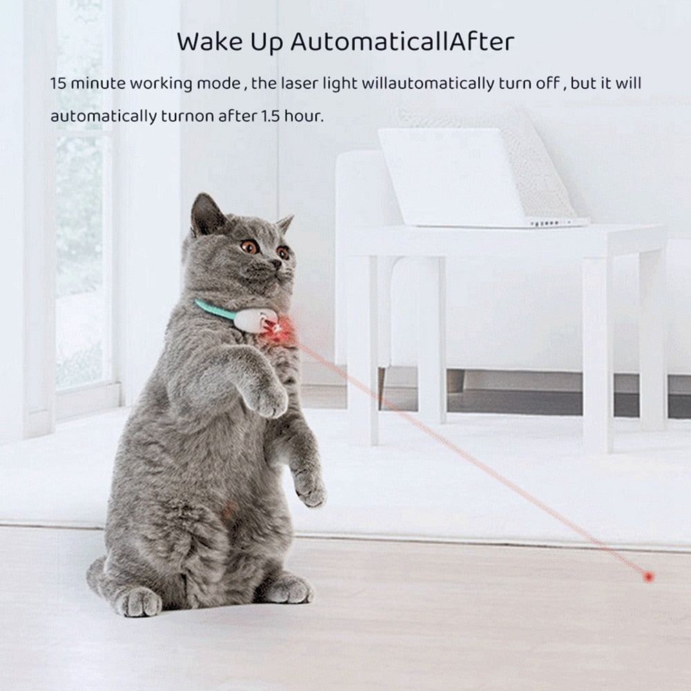 Cat Training Collars