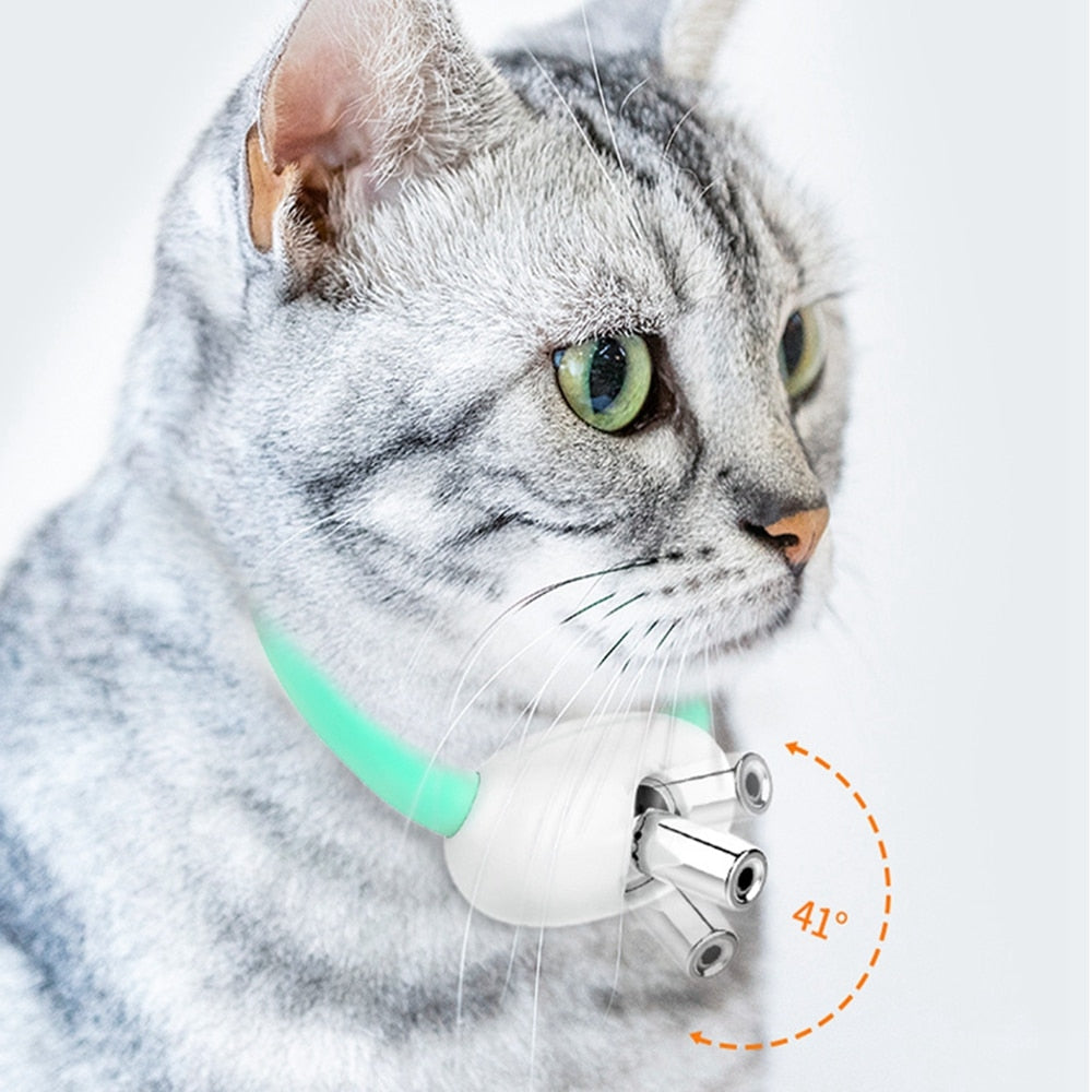 Cat Training Collars