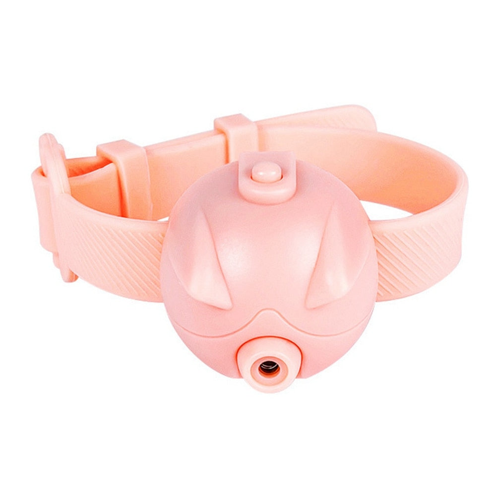Cat Training Collars