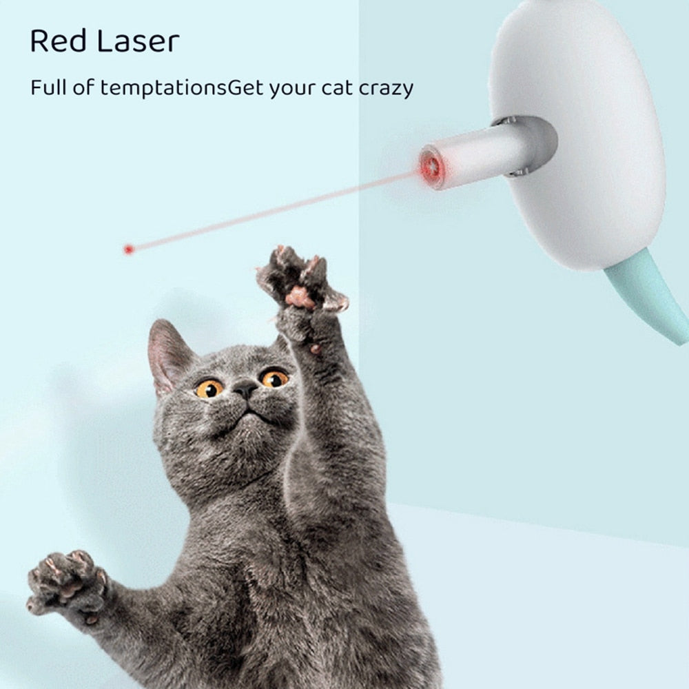 Cat Training Collars