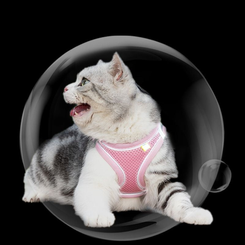 Cat Walking Harness