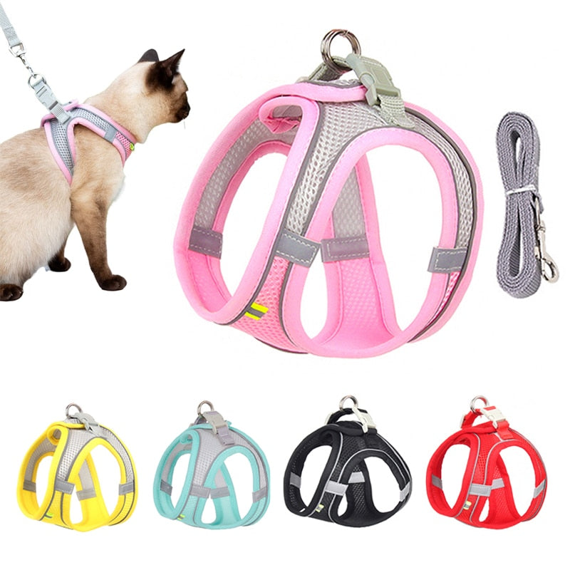 Cat Walking Harness