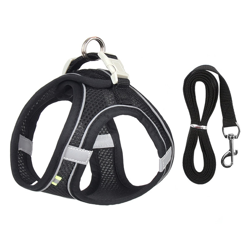 Cat Walking Harness