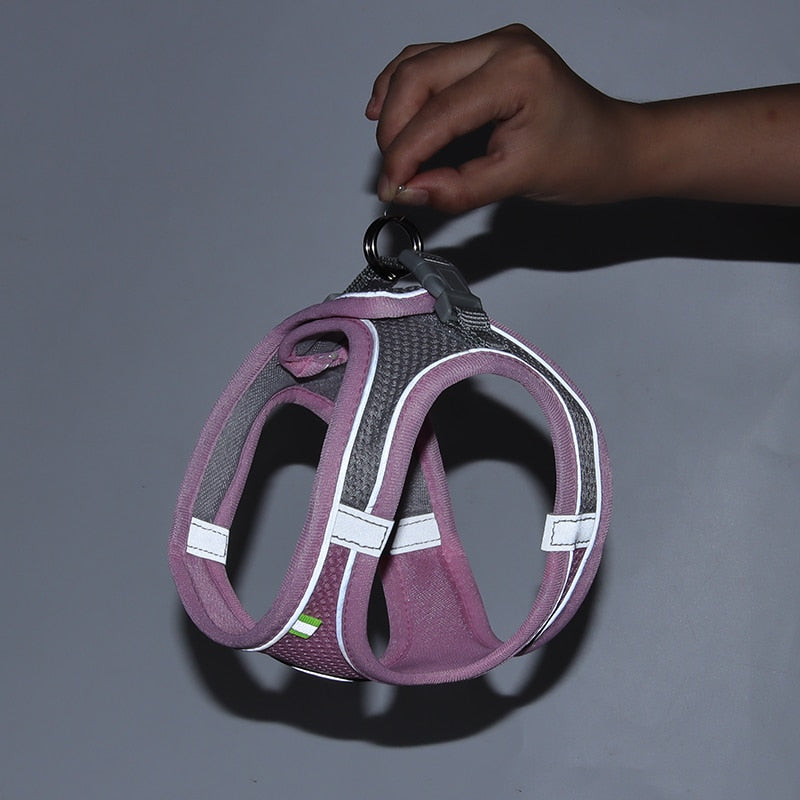 Cat Walking Harness