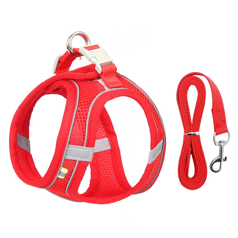 Cat Walking Harness