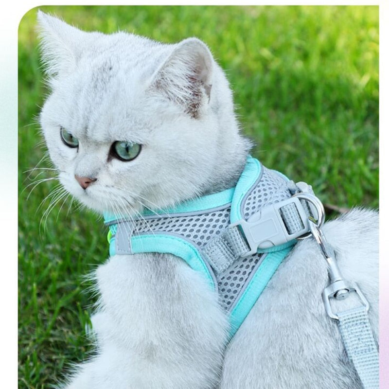 Cat Walking Harness