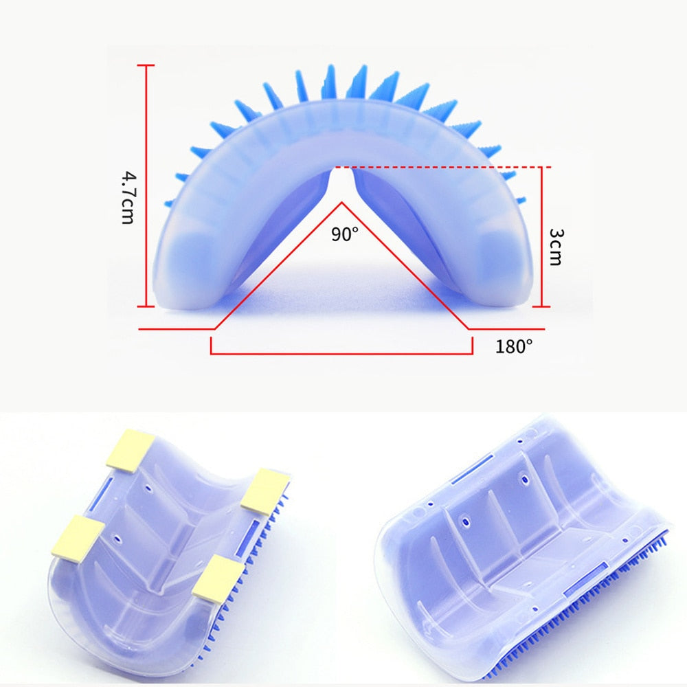 Cat Wall Brush