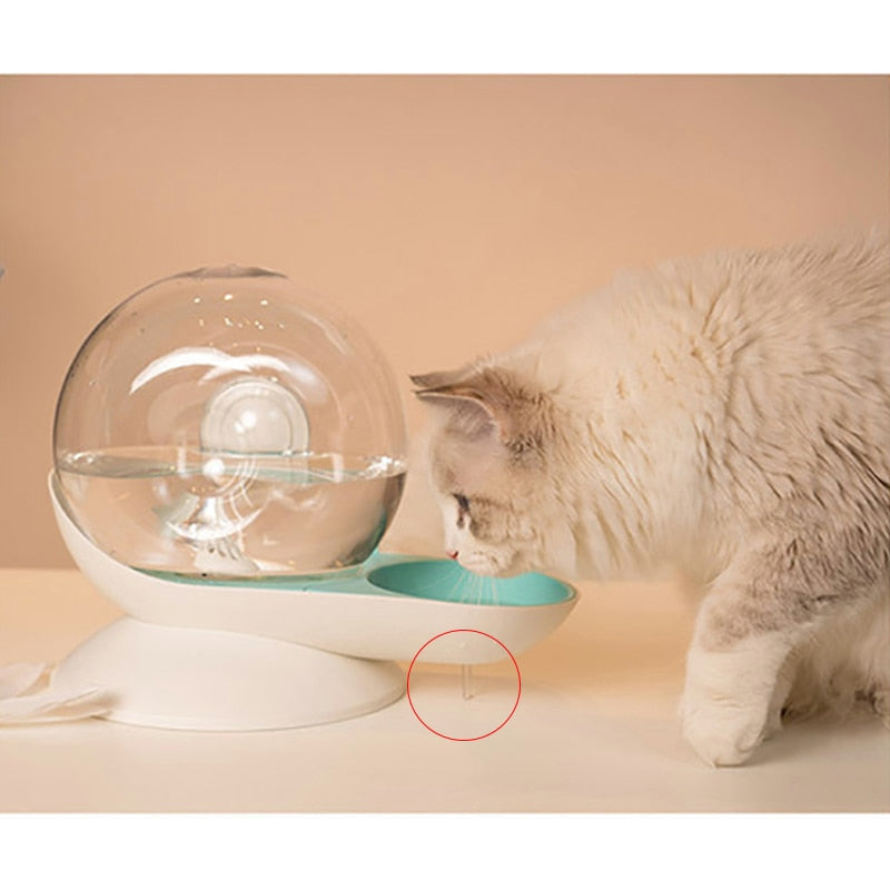 Cat Water Bowl