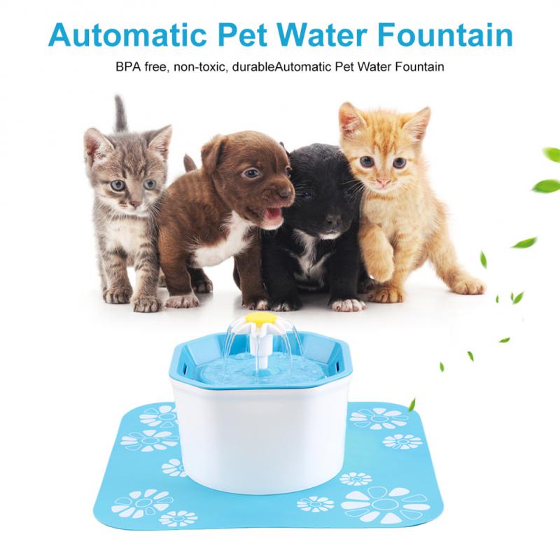 Cat Water Bowl Fountain