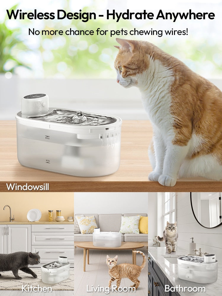 Cat Water Fountain Cordless