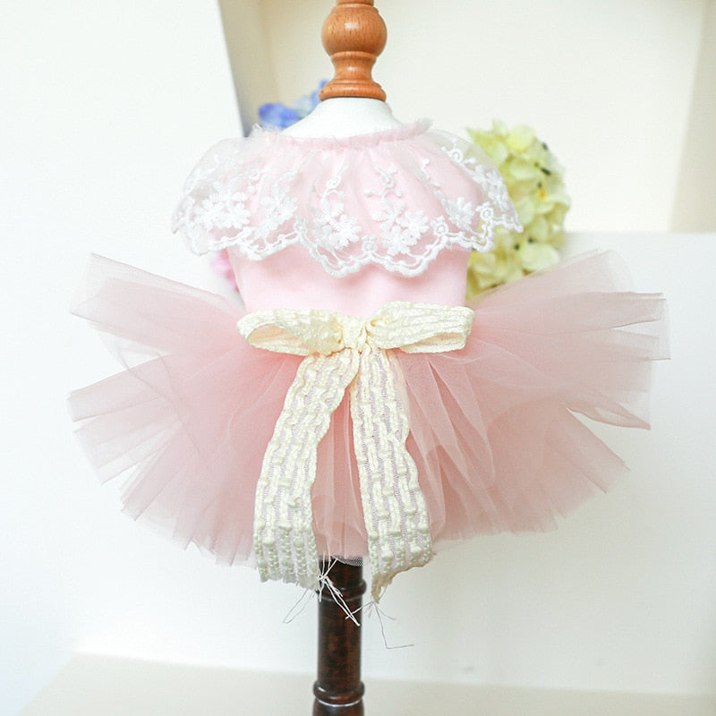 Cat Wedding Dress