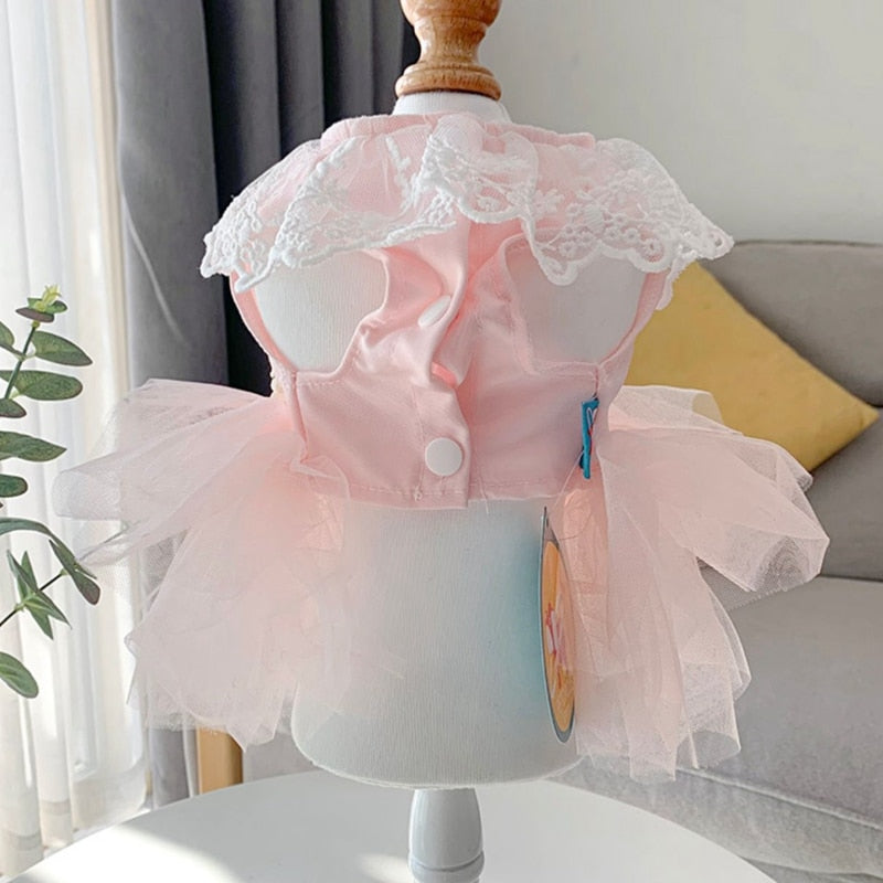 Cat Wedding Dress