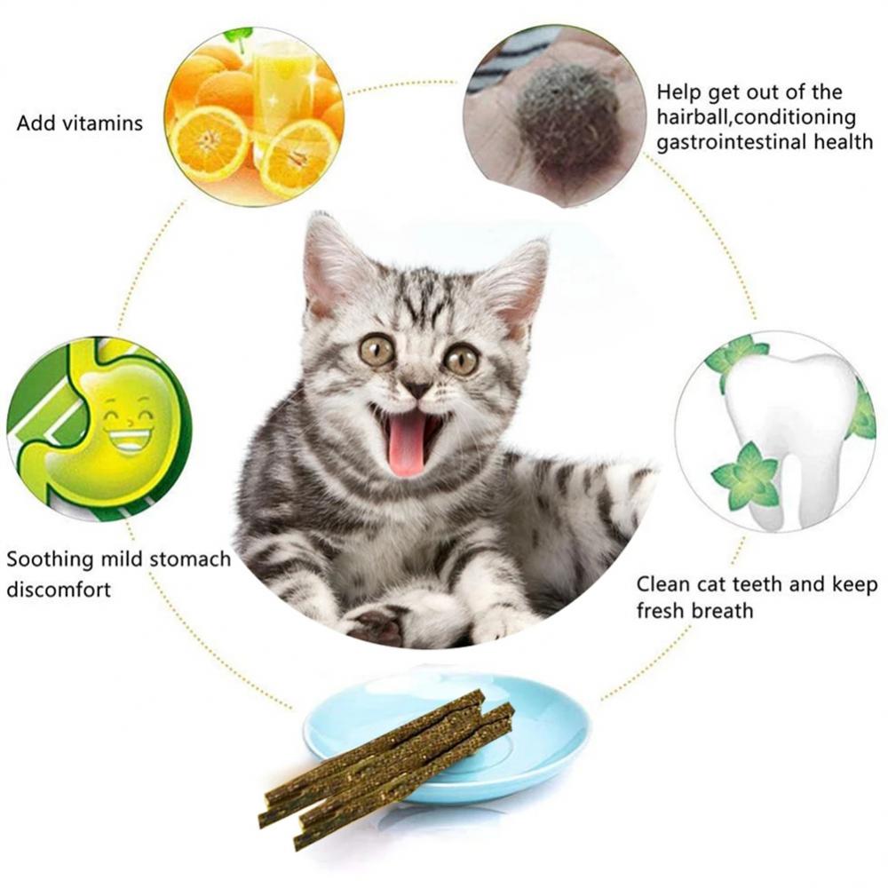 Catnip sticks