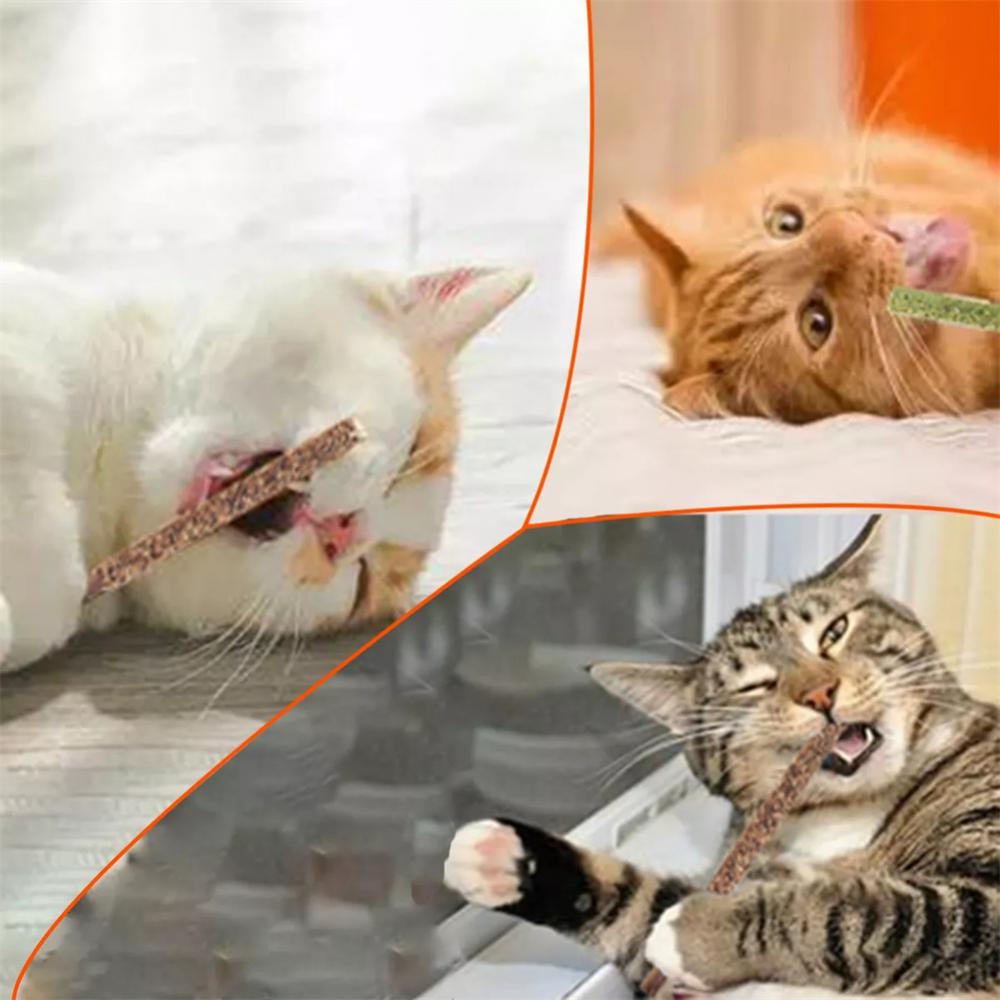 Catnip sticks