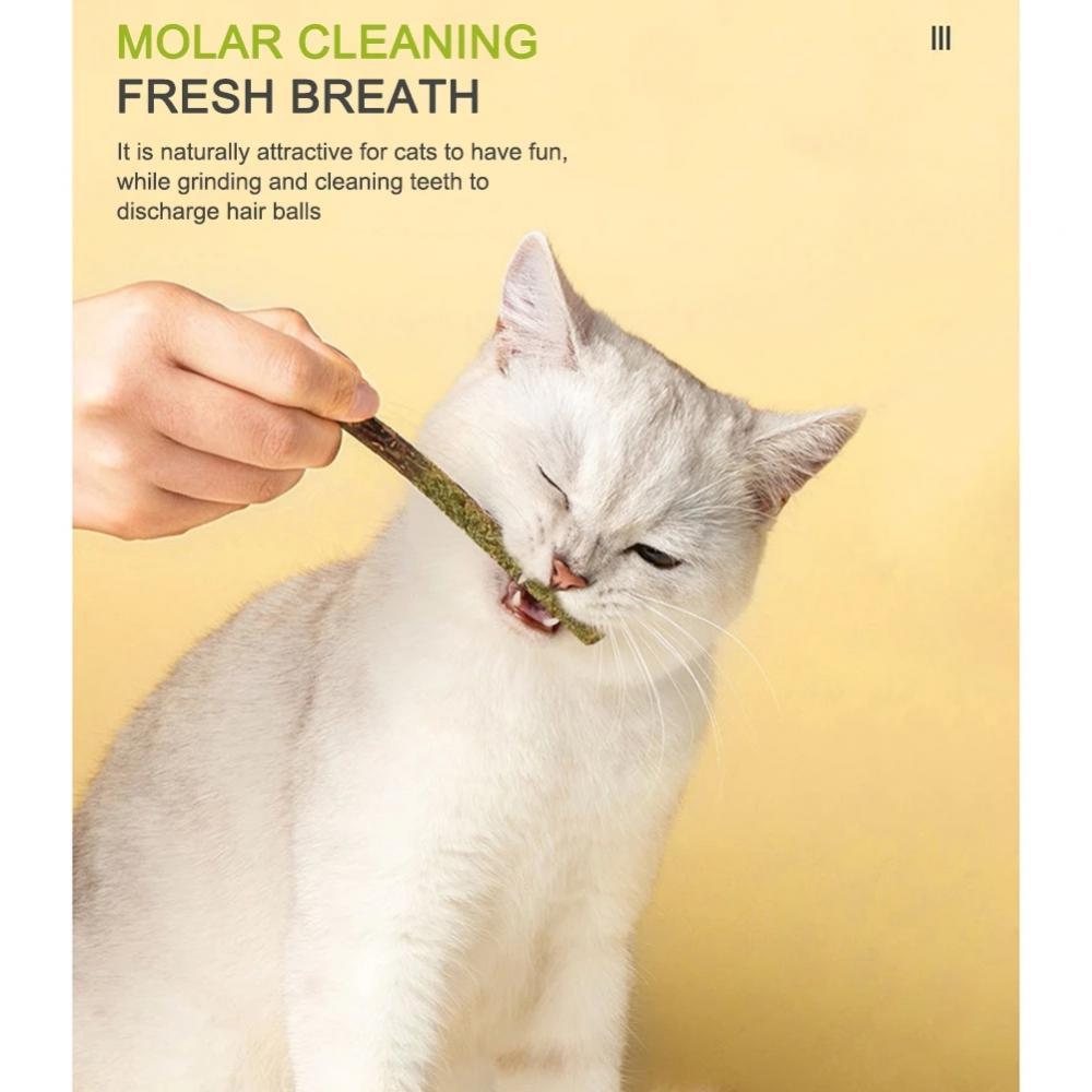 Catnip sticks