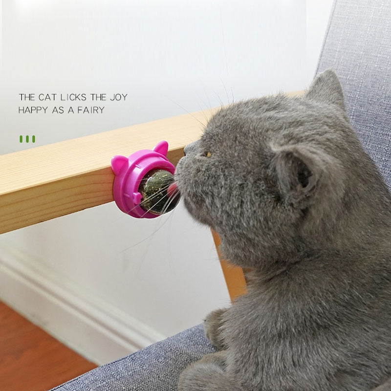 Catnip Wall Ball