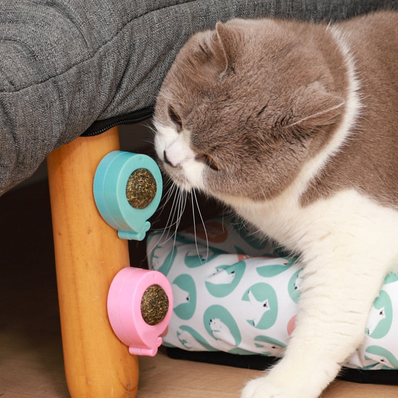 Catnip Wall Ball