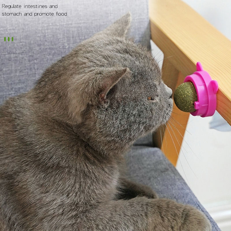 Catnip Wall Ball
