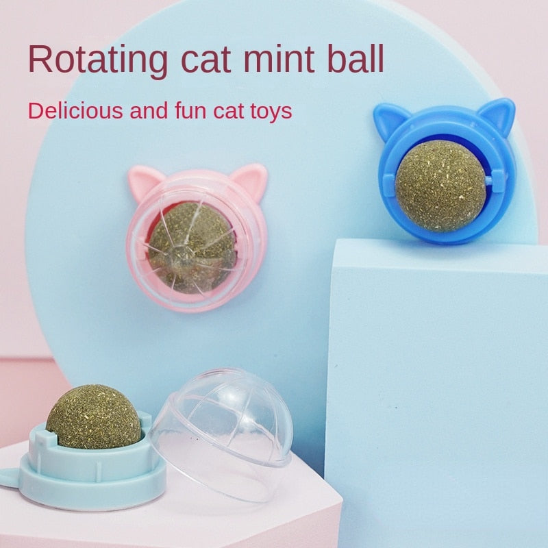 Catnip Wall Ball