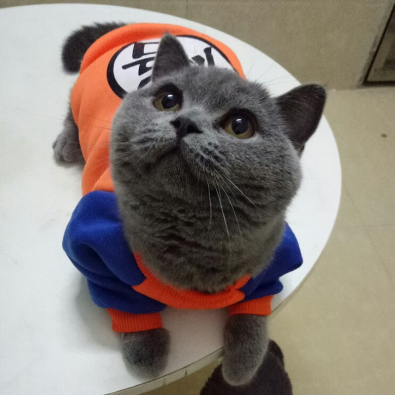 Character Cat Clothes