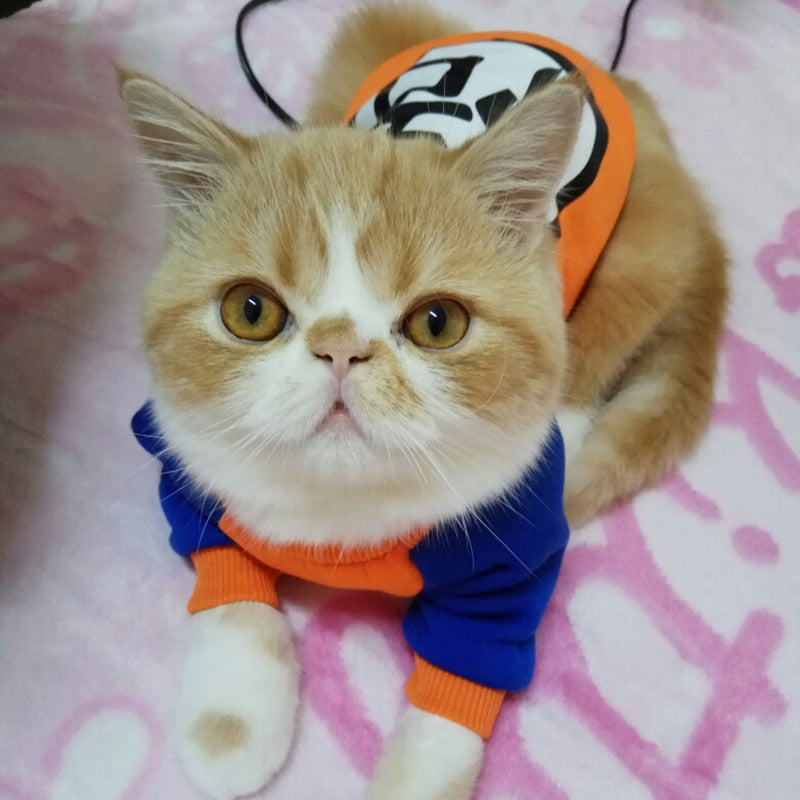 Character Cat Clothes