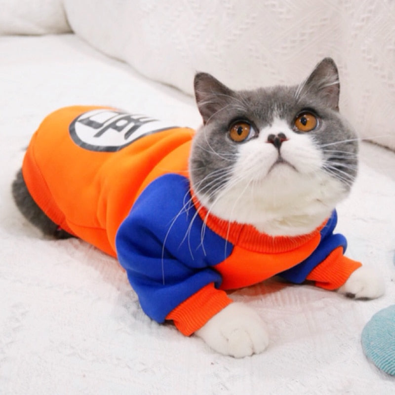 Character Cat Clothes