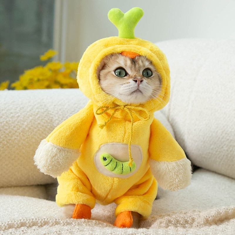 Chicken Costume for Cat