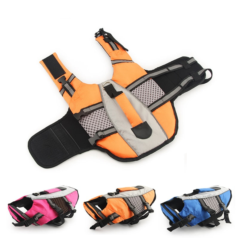 Comfortable Life Jacket for Cat