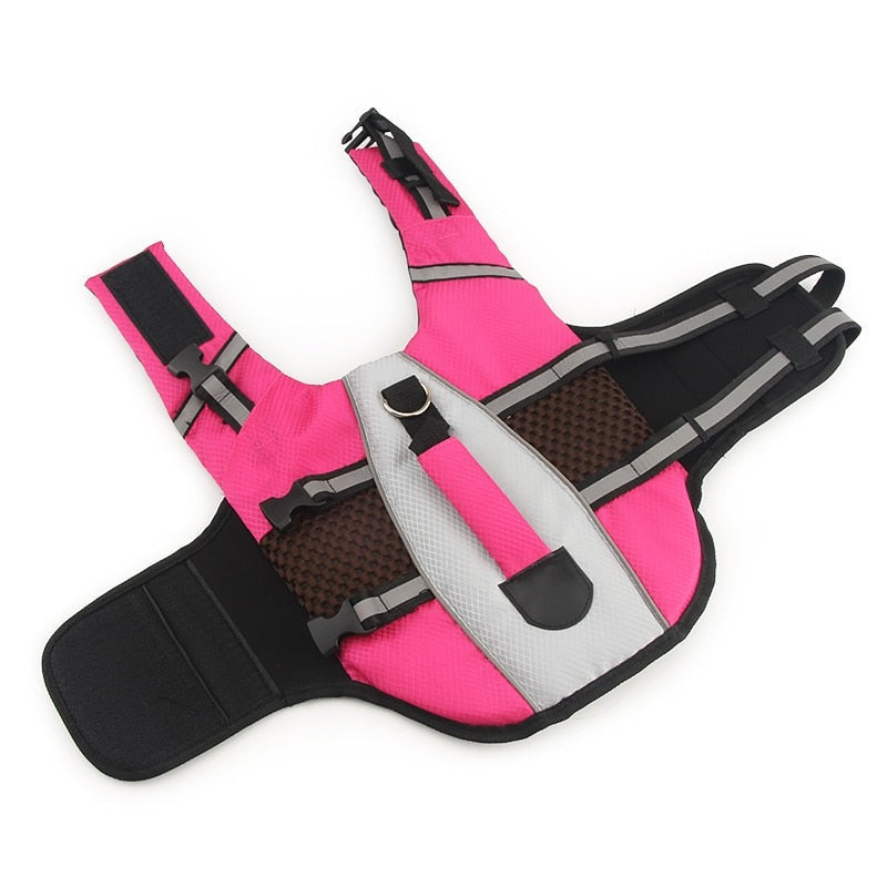 Comfortable Life Jacket for Cat