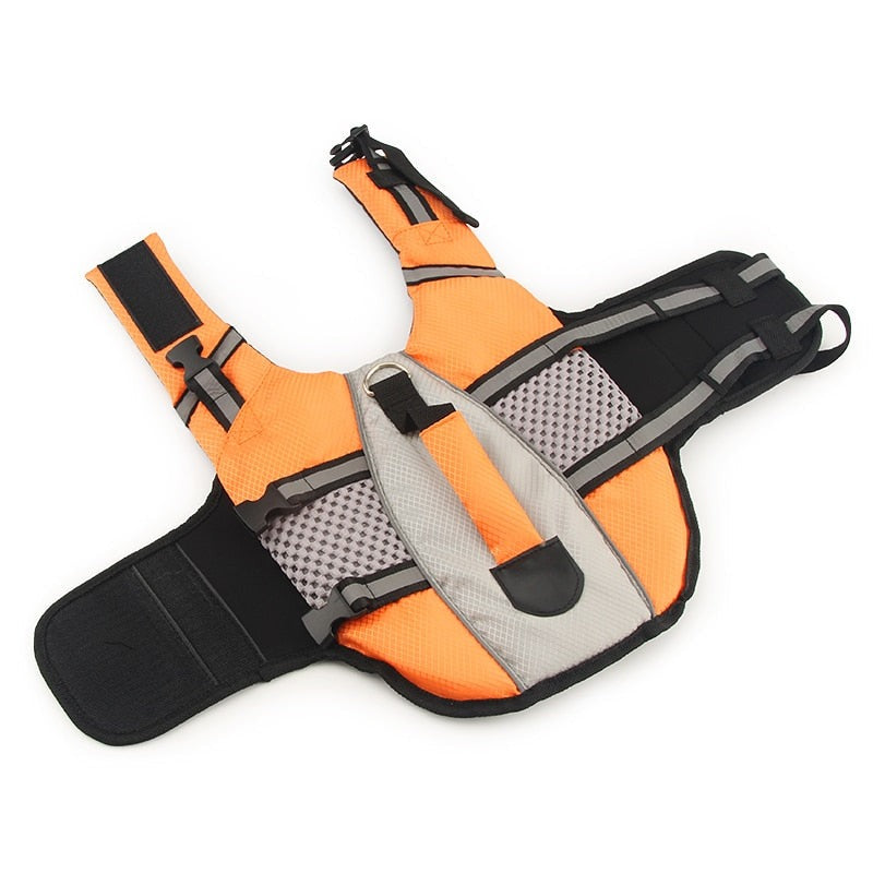 Comfortable Life Jacket for Cat