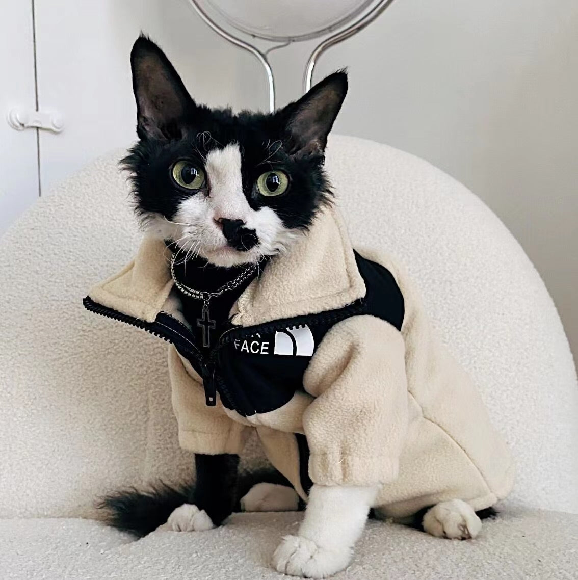 Cool Cat Clothes