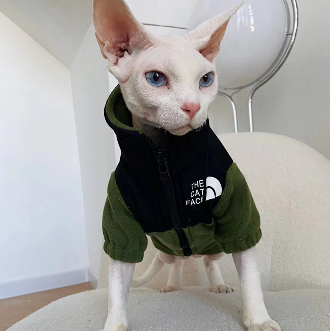 Cool Cat Clothes