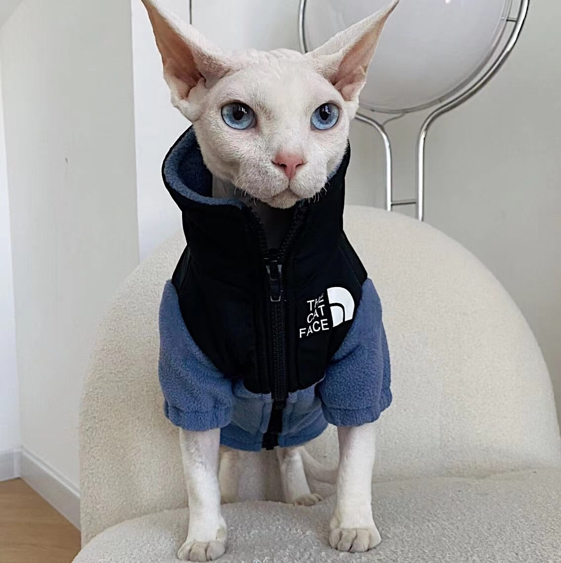 Cool Cat Clothes