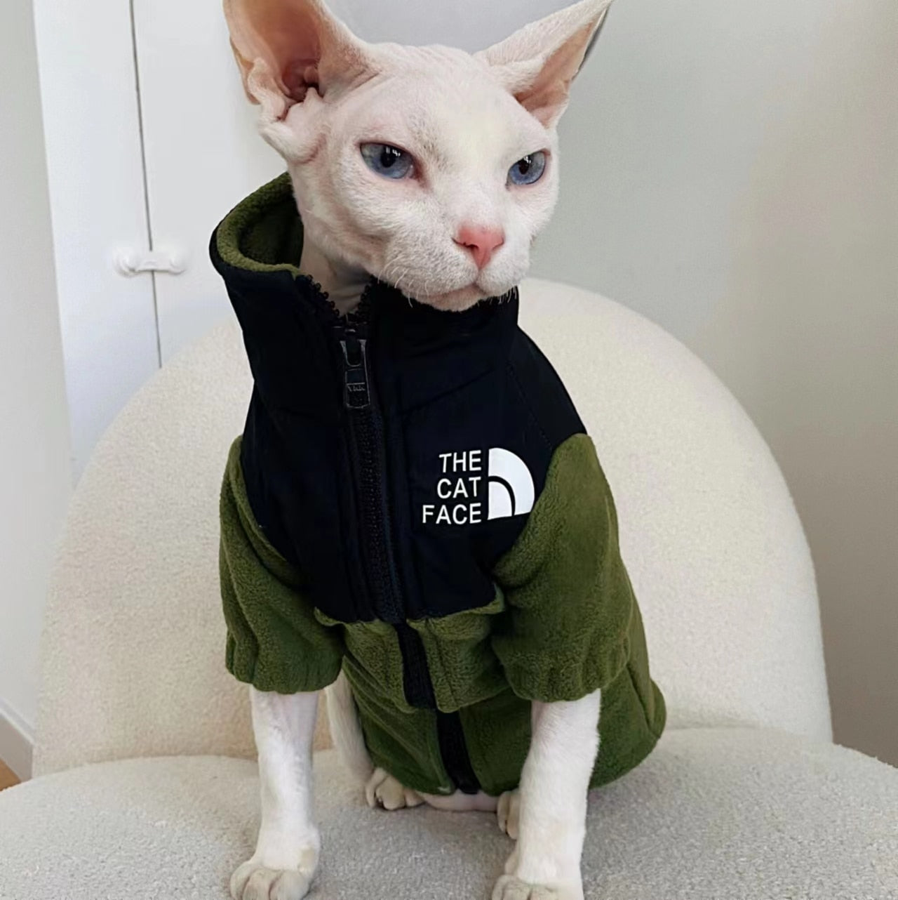 Cool Cat Clothes