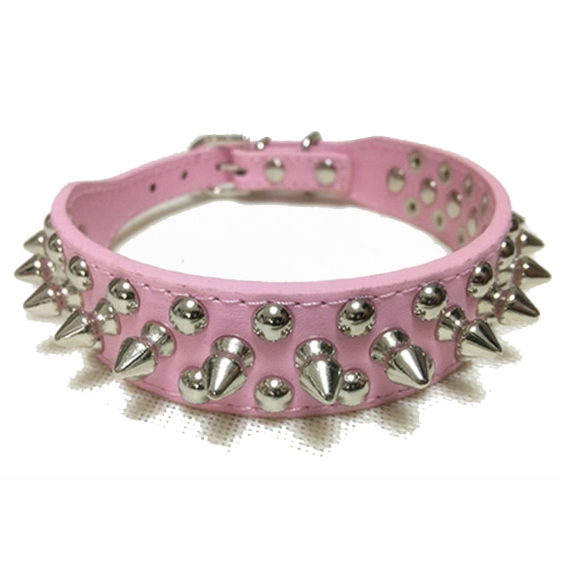 Cool Collars for Cats